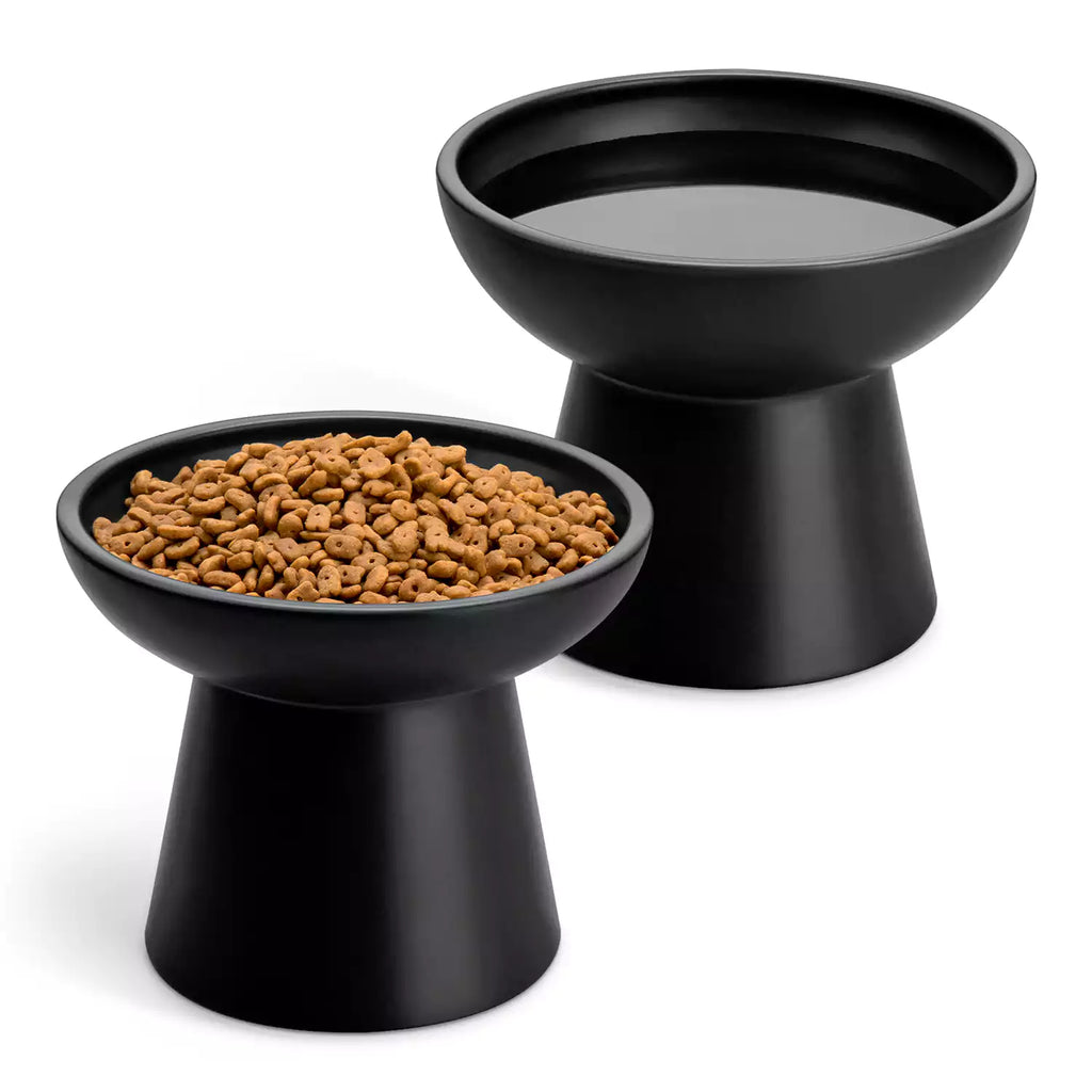 Elevated Cat Bowls Set