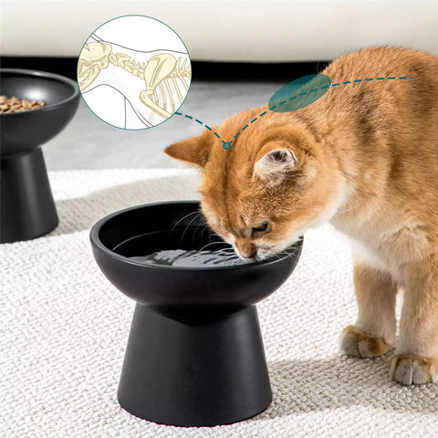 Ciotola per gatti in melamina Simply Mine - Pets And The City Ciotola per gatti in melamina Simply Mine - Pets And The City